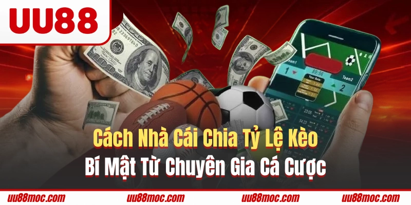 Cách nhà cái chia tỷ lệ kèo