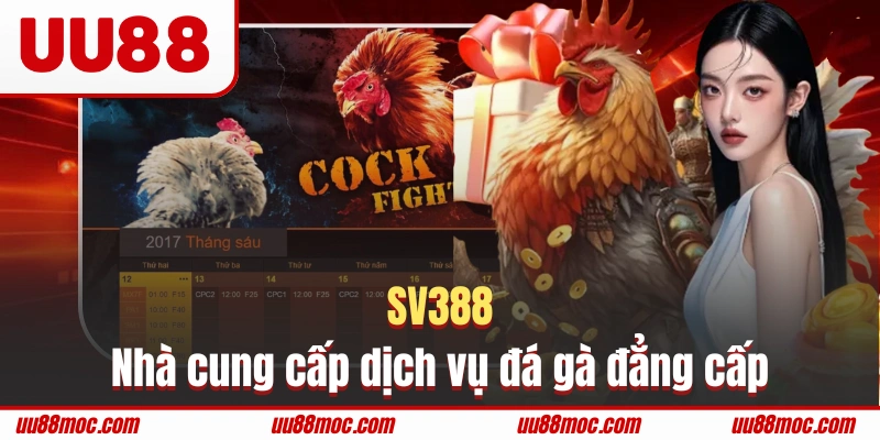 SV388 là nhà cung cấp dịch vụ đá gà đẳng cấp