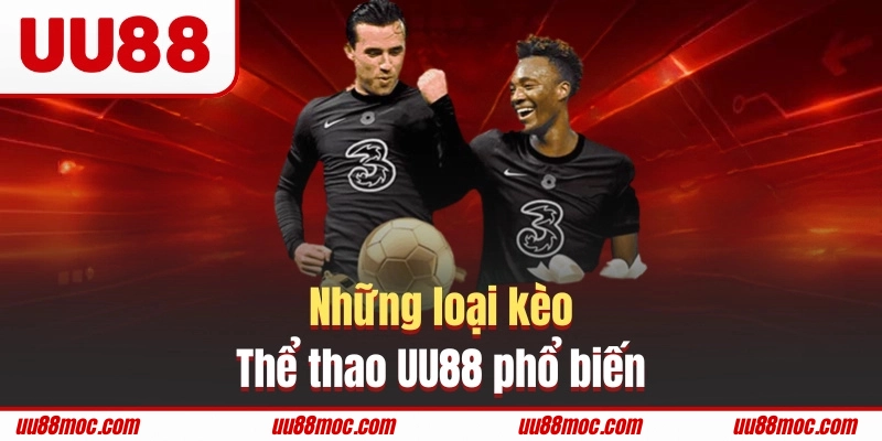 Tổng hợp những loại kèo phổ biến 2025